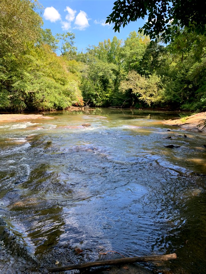 Reedy River, Greenville, SC