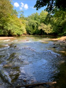 Reedy River, Greenville, SC