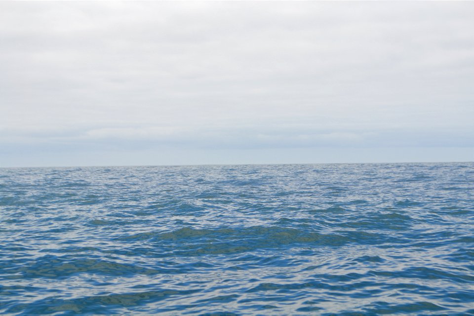The Ocean
