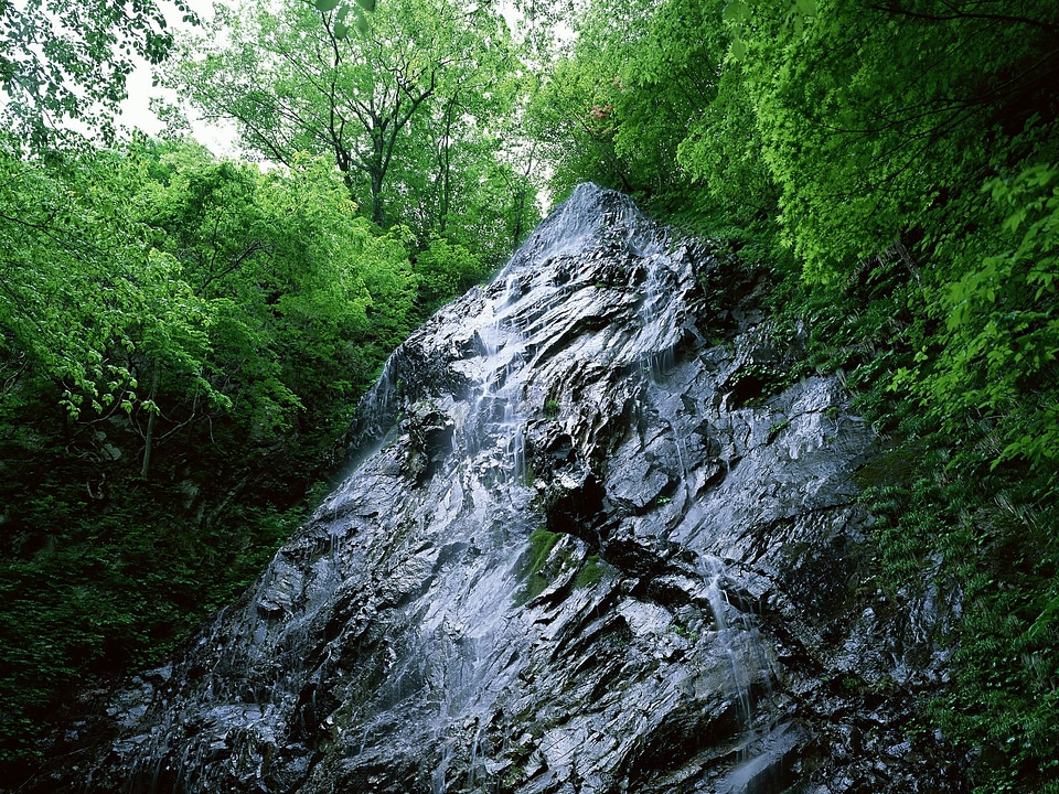 Looking Glass Falls