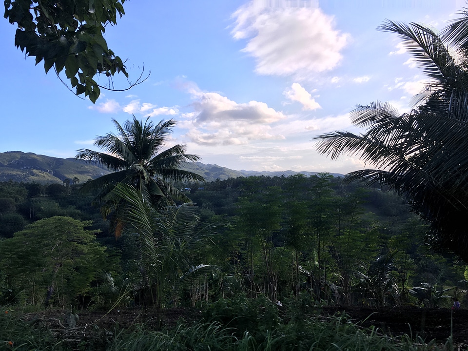 landscape of the island of Cebu in the Philippines - Free photos on ...