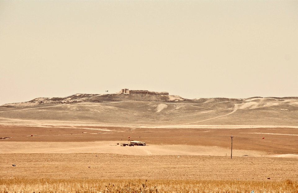 Tel Arad
