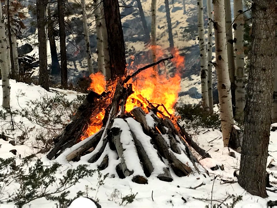 Slash Pile Burning in Snow (3) photo