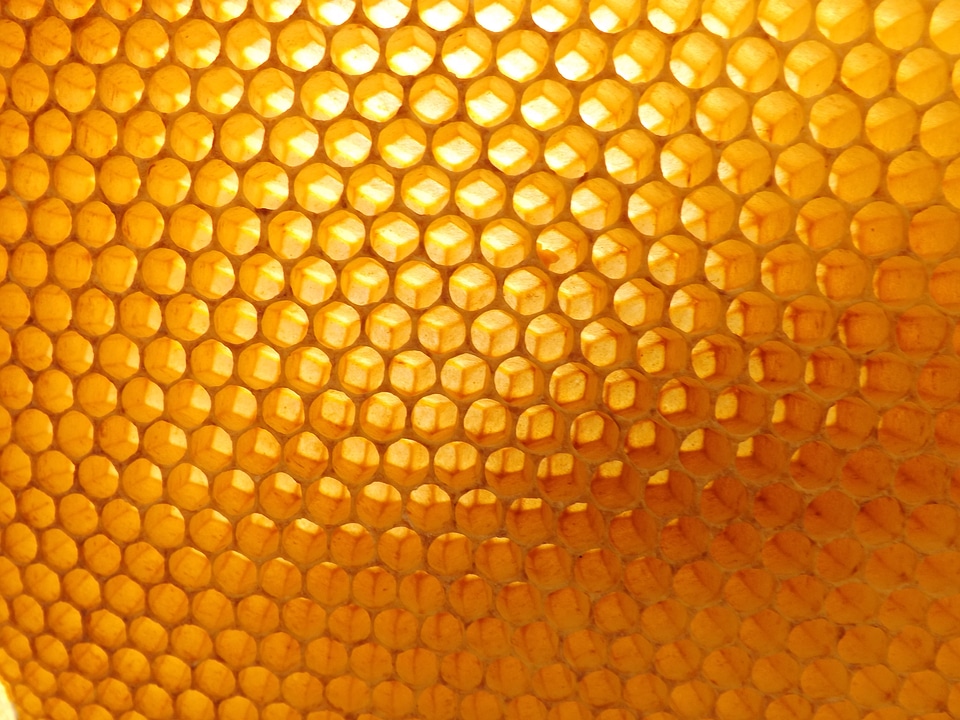 Honeycomb beekeeping beehive