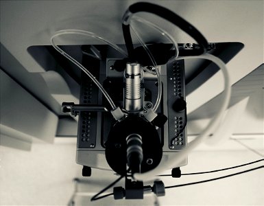 Greenpeace Research Laboratories - Science Unit at University of Exeter