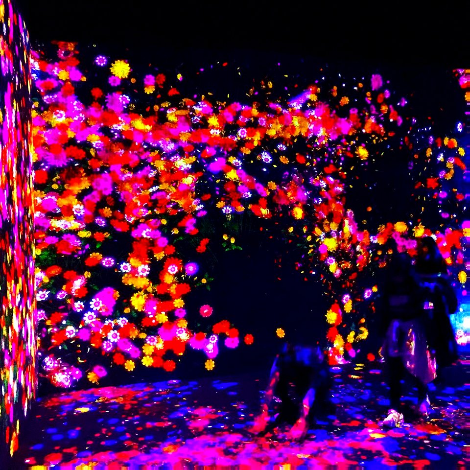 teamLab