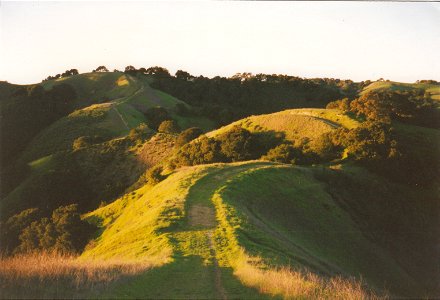 HAYES-BRIONES-3-LAFAYETTE END