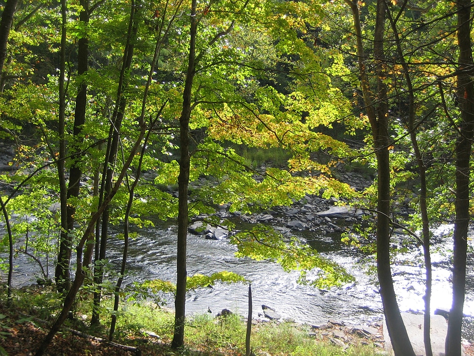 Bluestone National Scenic River