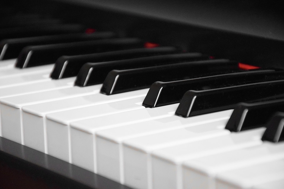Music instrument black