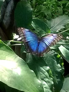 IMG_20160718_101621