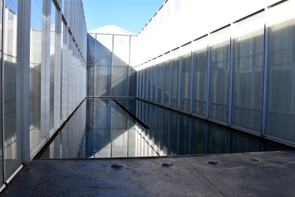 The Walkway