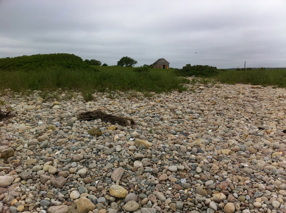 Goosewing Beach Preserve in Rhode Island