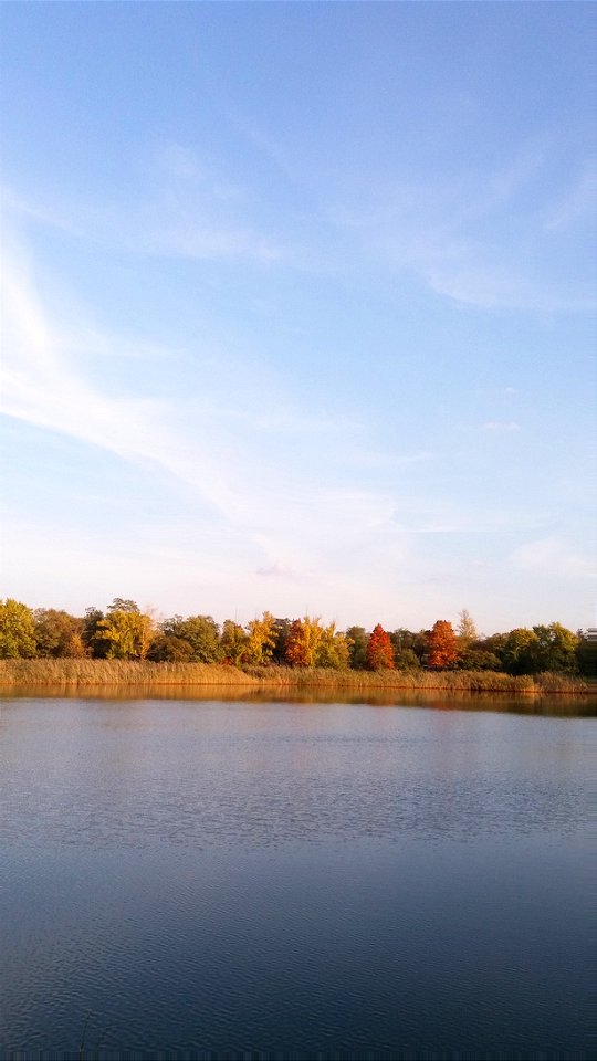 Lake Holuboe/озеро Голубое, Брянка