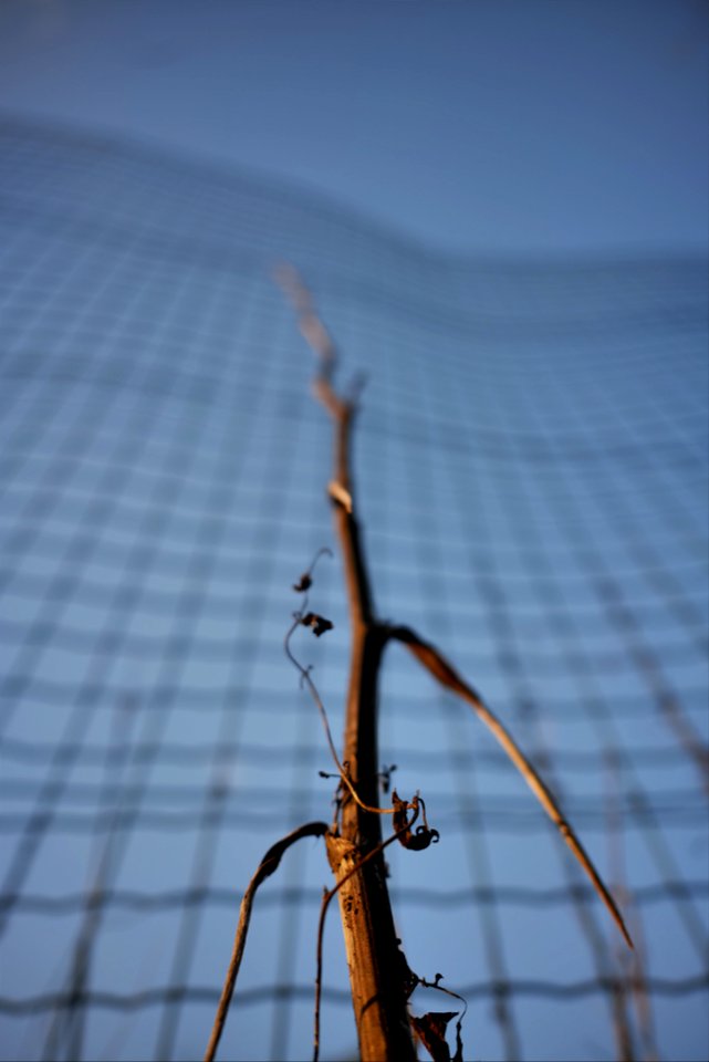 P1088990