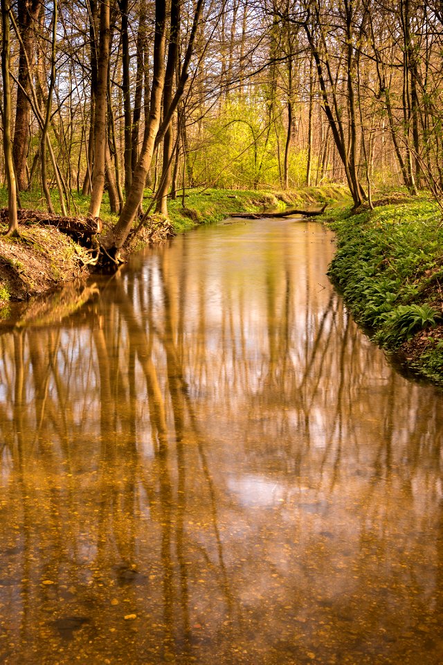 Verwunschener Frühlingsstrom