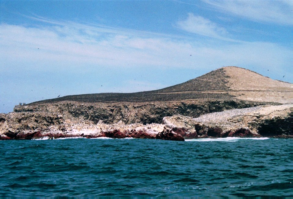 Bahìa de Paracas, Islas Ballestas
