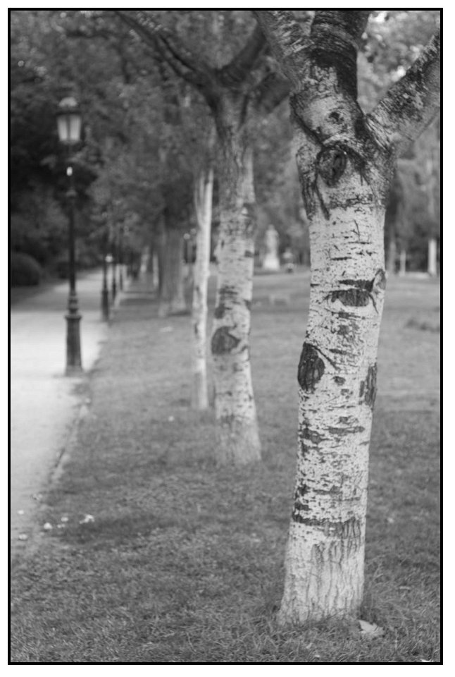 _IGP2943-YCbCr_ITU_R470