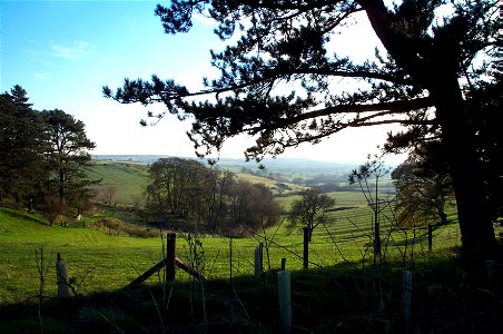 Dalby Hills
