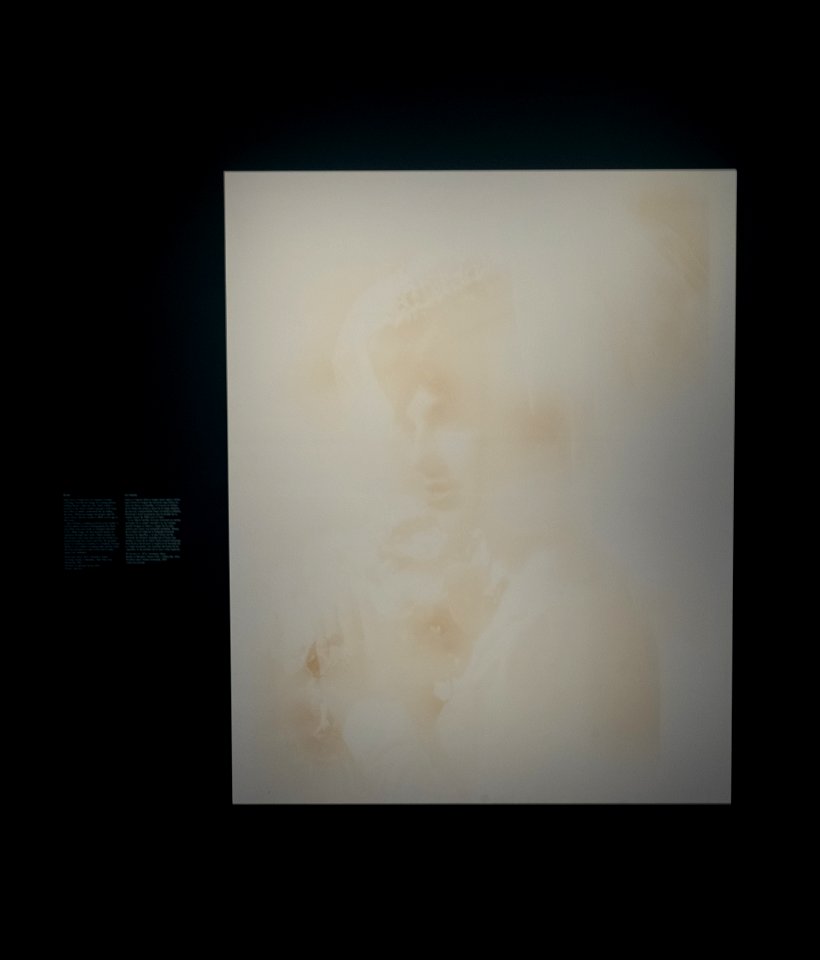 L1003232