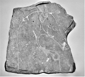 'Deer head' Pictish Symbol Stone. Ardross - Inverness Museum photo