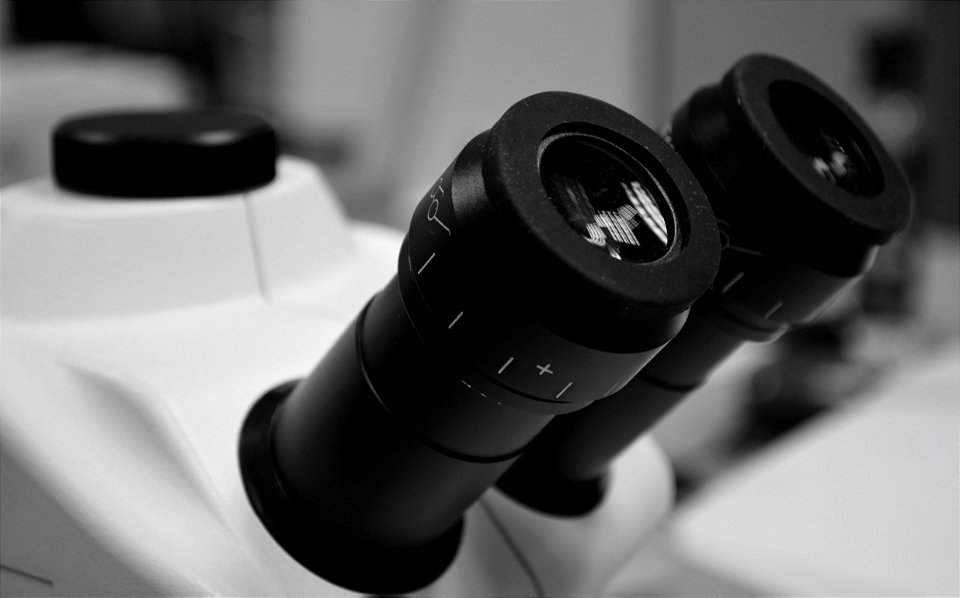 Greenpeace Research Laboratories - Science Unit at University of Exeter