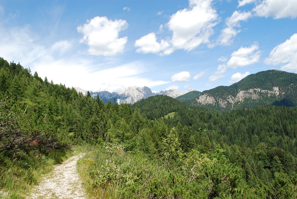 Top of the Mauria Pass, Dolomiti, Italy