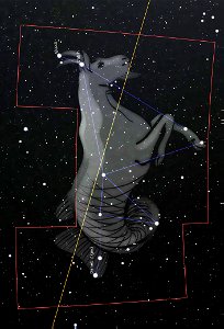 Nave Stellarium: Missão Capricórnio