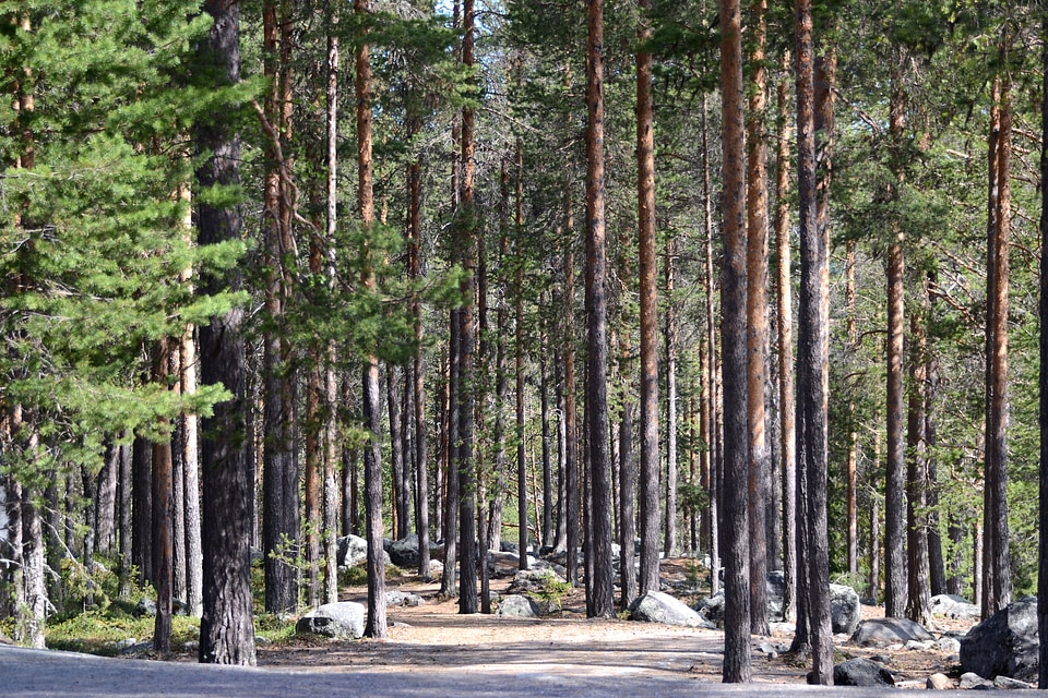 Scenic Shots around Sweden