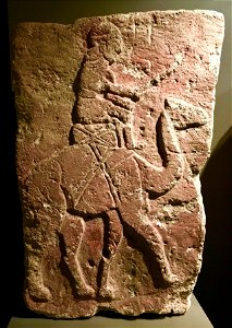 Camel rider