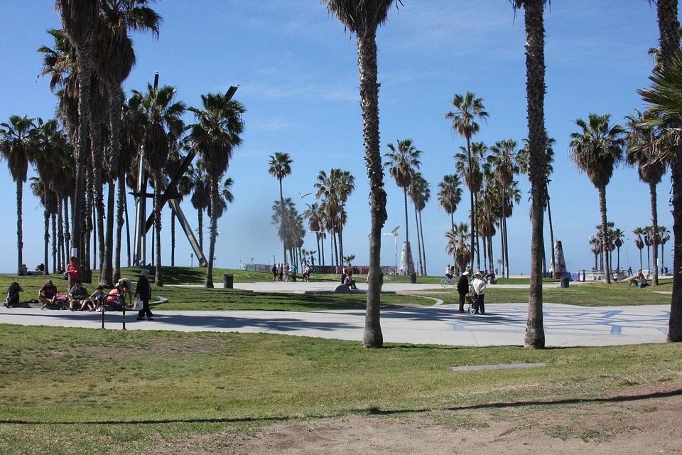 View of the Pacific Ocean and the beach in Venice Beach photo