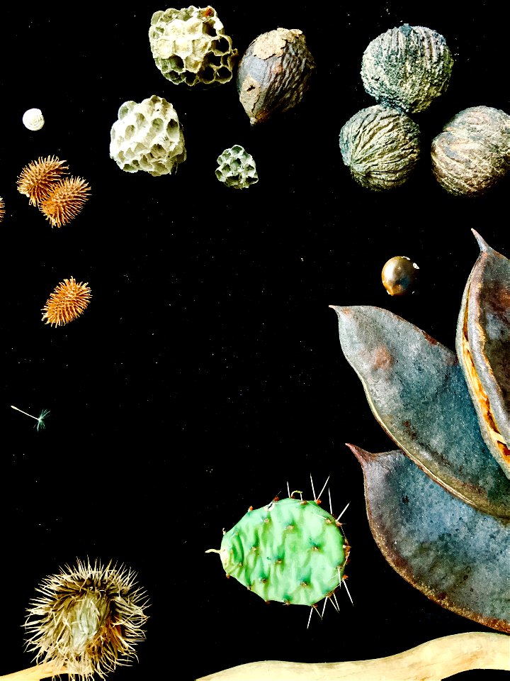 Found on the ground: Spring collection