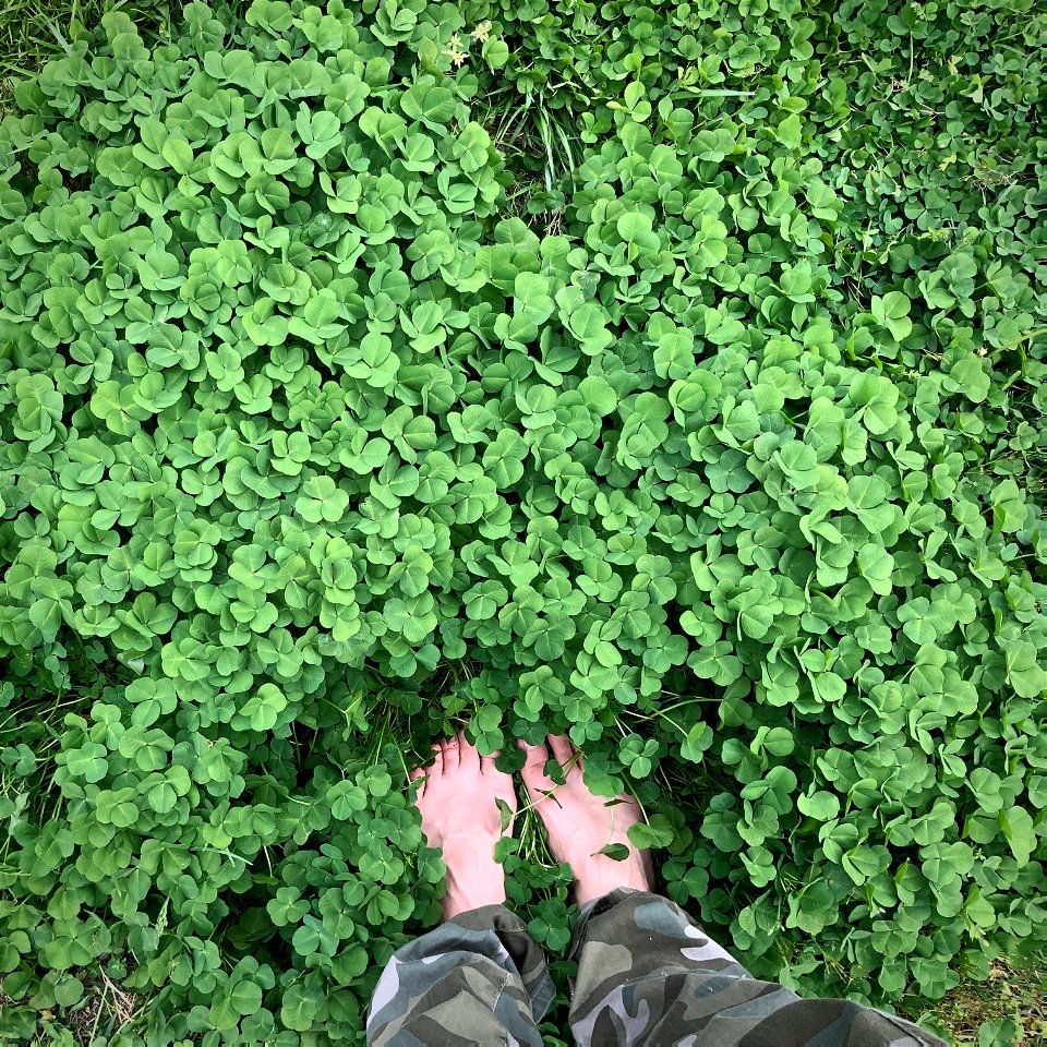 Healthy grounding