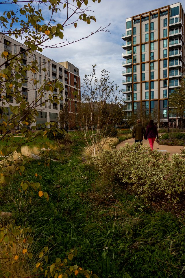 181104 Woodberry Down + Spring Park SuDS (2 of 19)