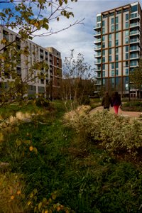 181104 Woodberry Down + Spring Park SuDS (2 of 19)
