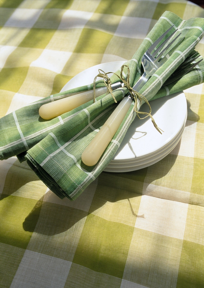 Green and White checkered fabric with dish