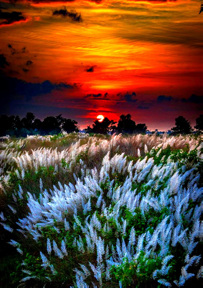 The magic of sunset