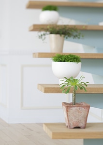 Flowerpots situated on wooden stairs