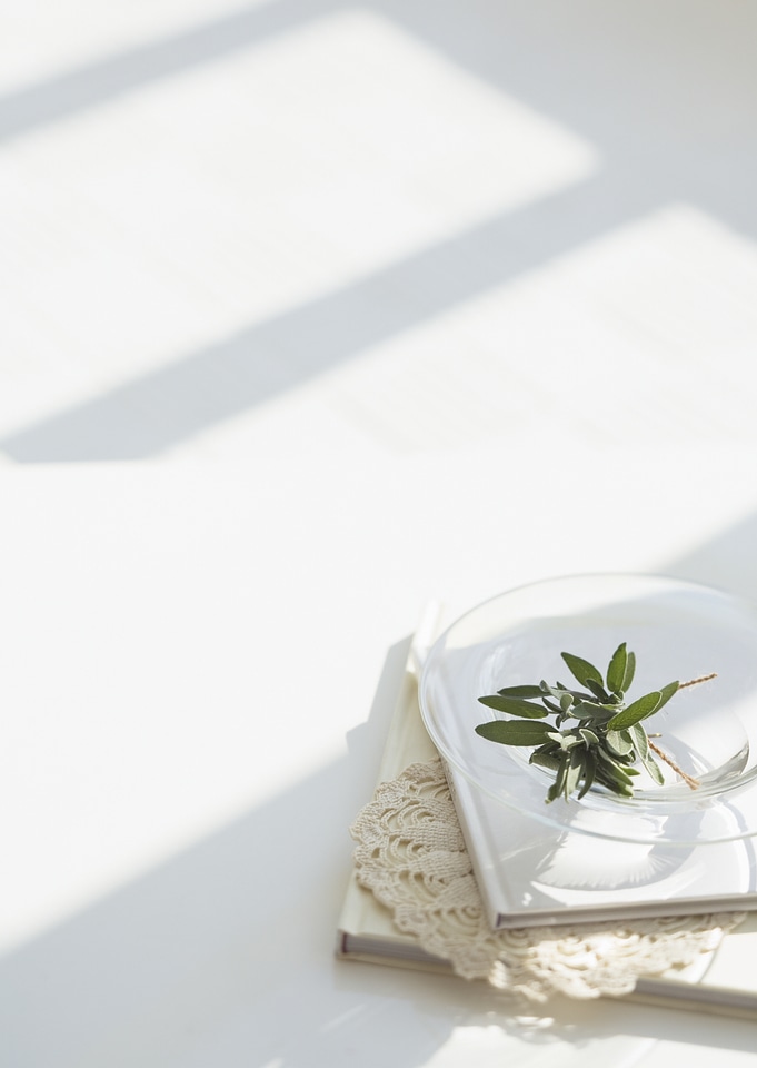 Fresh sage on glass dish