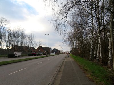IMG_8181 Perspektiven  Bottrop (27.02.2021)