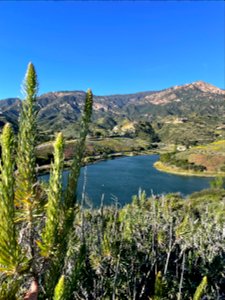 Laura Reservoir