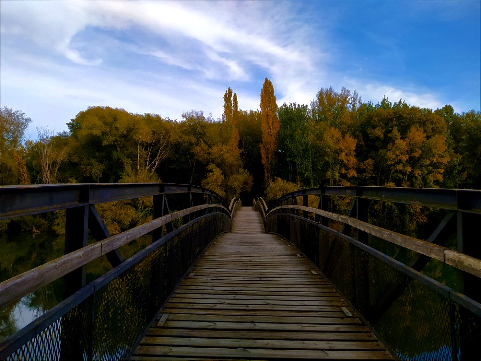 Atumn colors