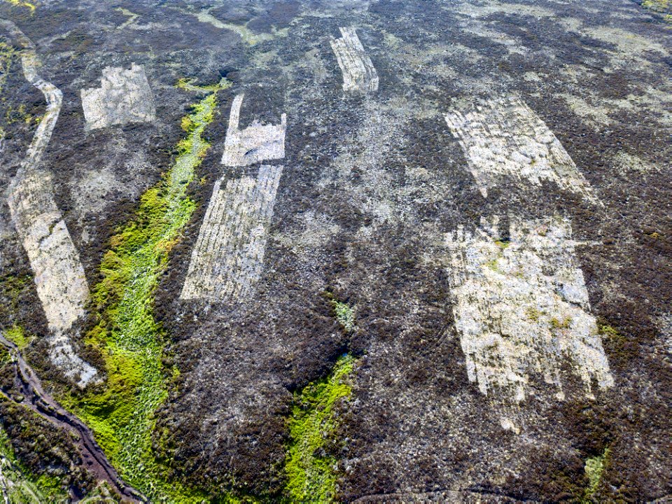 Heather cutting on Yorkshire Water's Thornton Moor