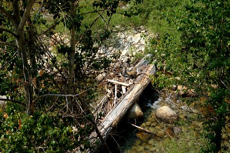 Bridge