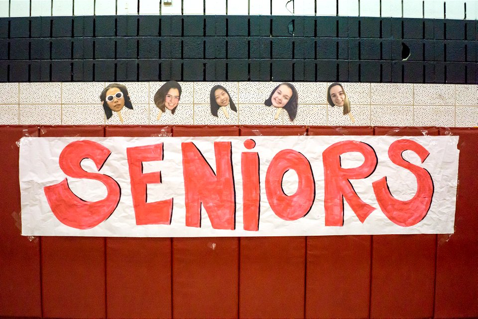 PaintBranch@QO-4