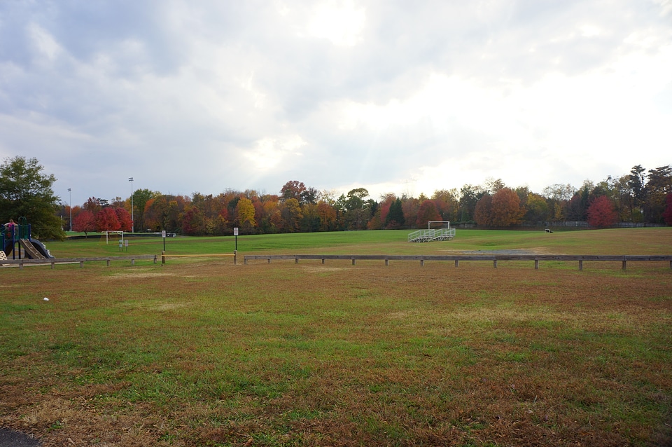 Ellanor C Lawrence Park