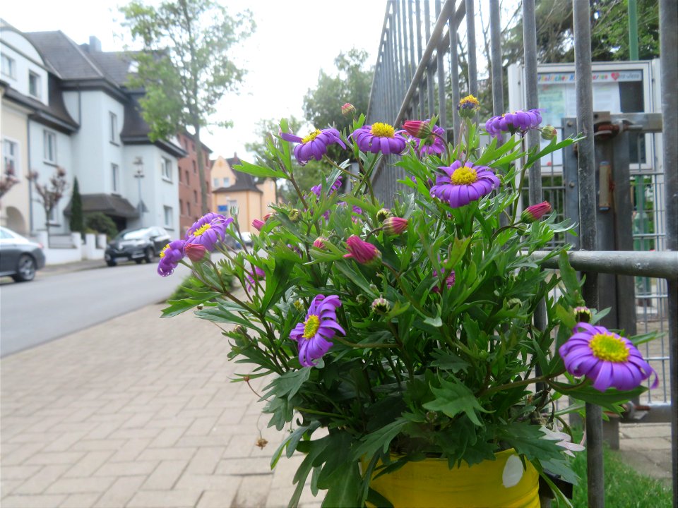 IMG_2177 Perspektiven Deutschland  Bottrop (10.05.2021)