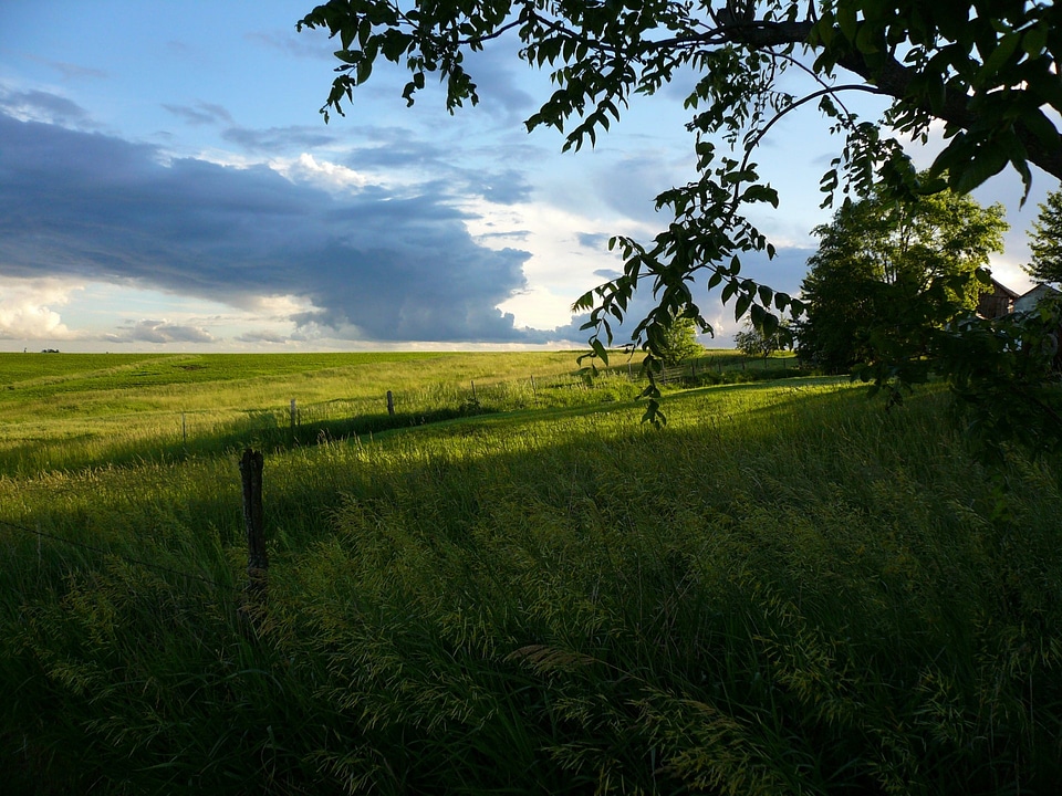 Tallgrass Prairie and Storm Clouds