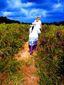 BUSCANDO EL CAMINO
