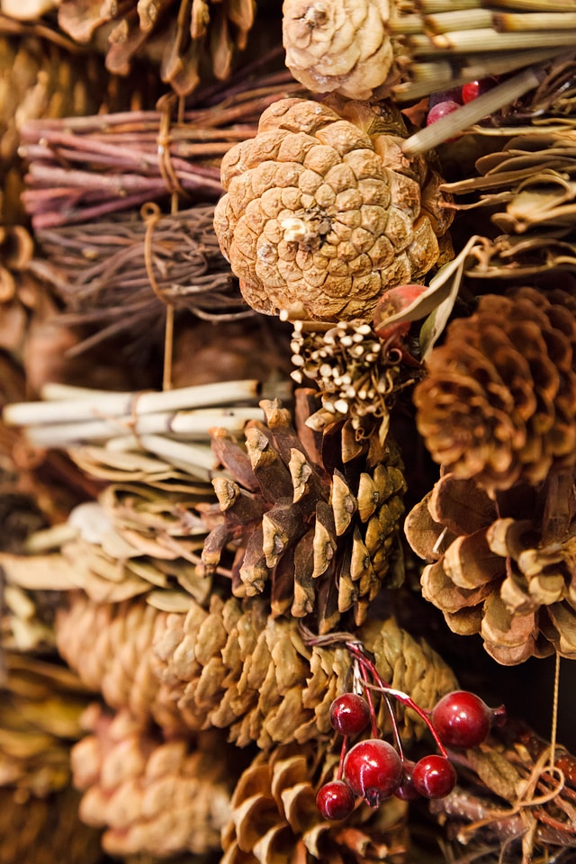 Brown Cones Decoration photo