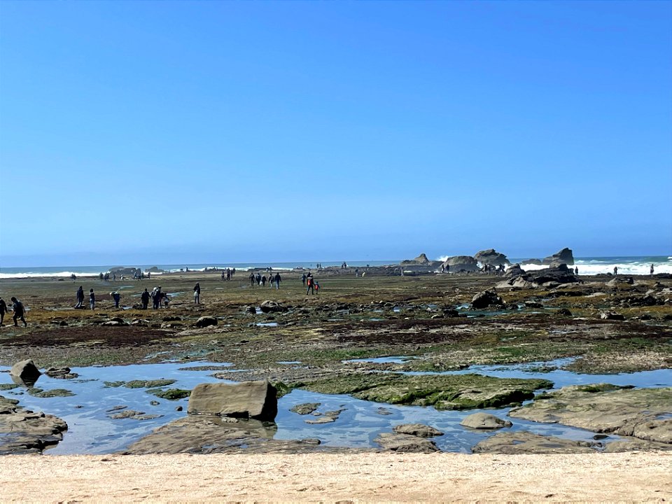 People Visiting Reef 4